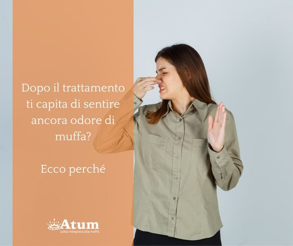 Odore di muffa dopo il trattamento? Ecco perché