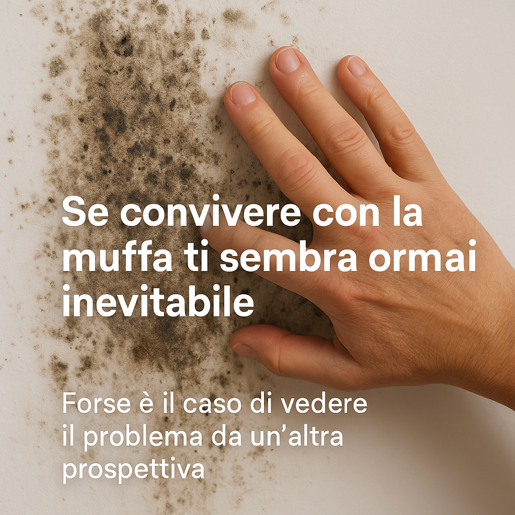 "Sempre lì. Sempre la muffa. Sempre io che ci riprovo."