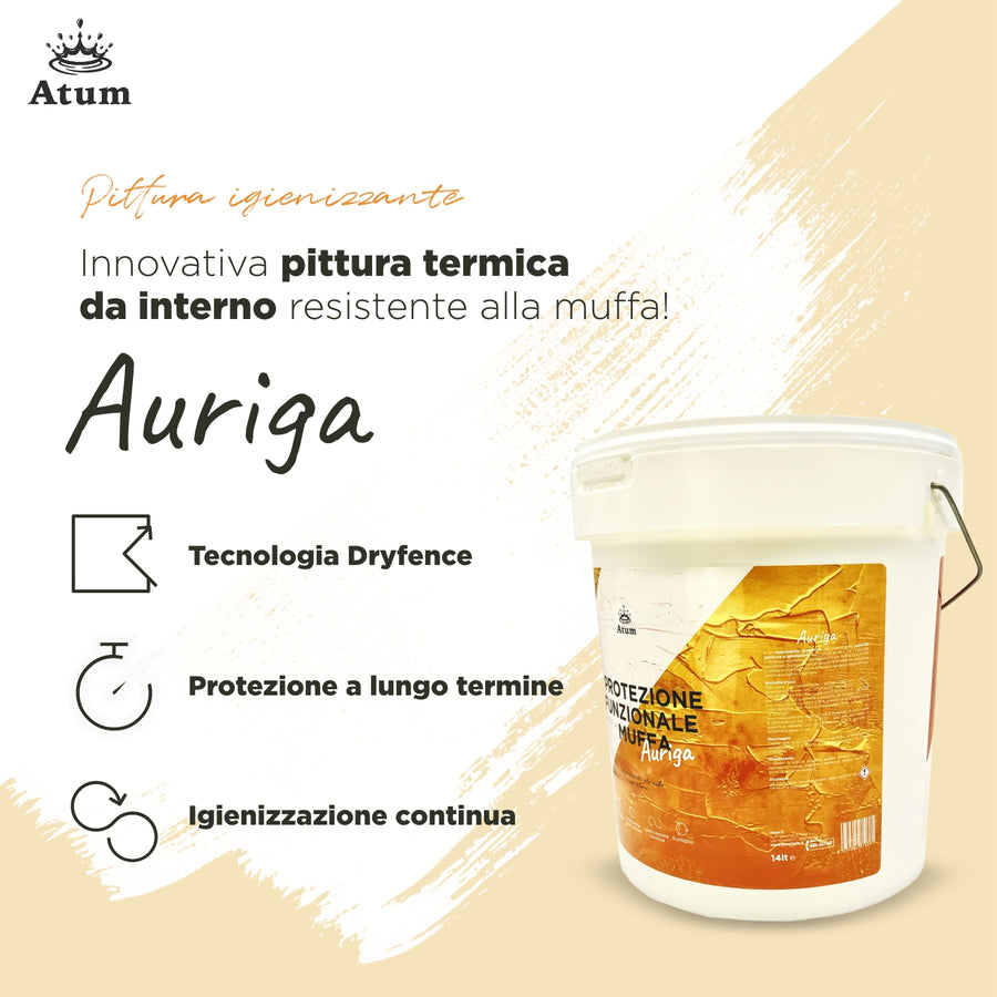 Auriga – Pittura tecnica anticondensa e igienizzante - Lotta integrata alla muffa - Atum