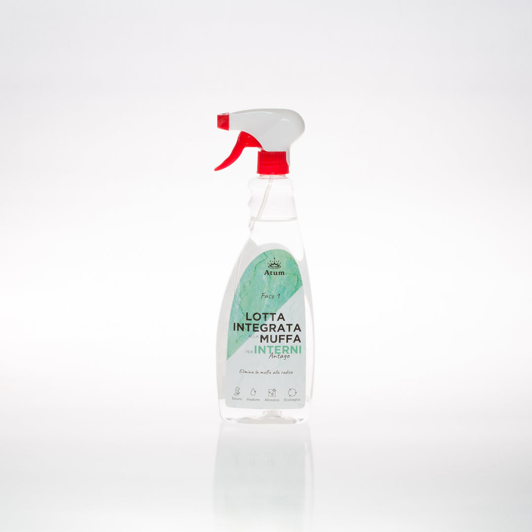 Kit Atum - completo per la bonifica degli ambienti - Lotta integrata alla muffa - Atum